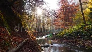 秋<strong>天</strong>森林里<strong>的</strong>河流和阳光透过树叶照耀着。